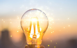 Umwelt und Abfall in Schrattenbach