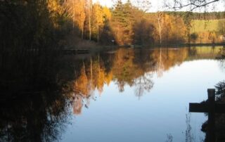 Schlossteich in Schrattenbach im Herbst