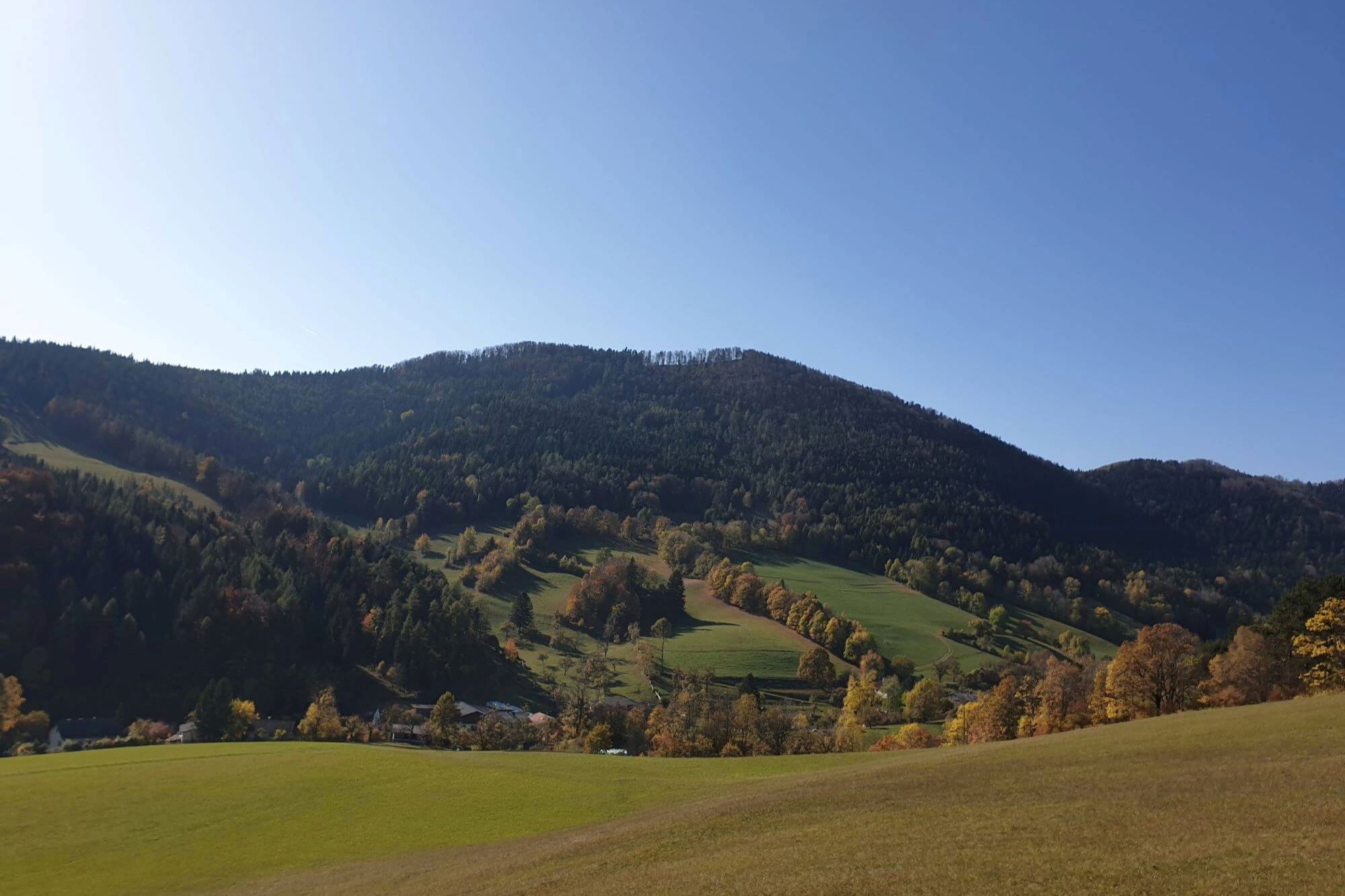 Landschaft von Schrattenbach mit grünen Feldern und Hügeln an einem sonnigen Tag